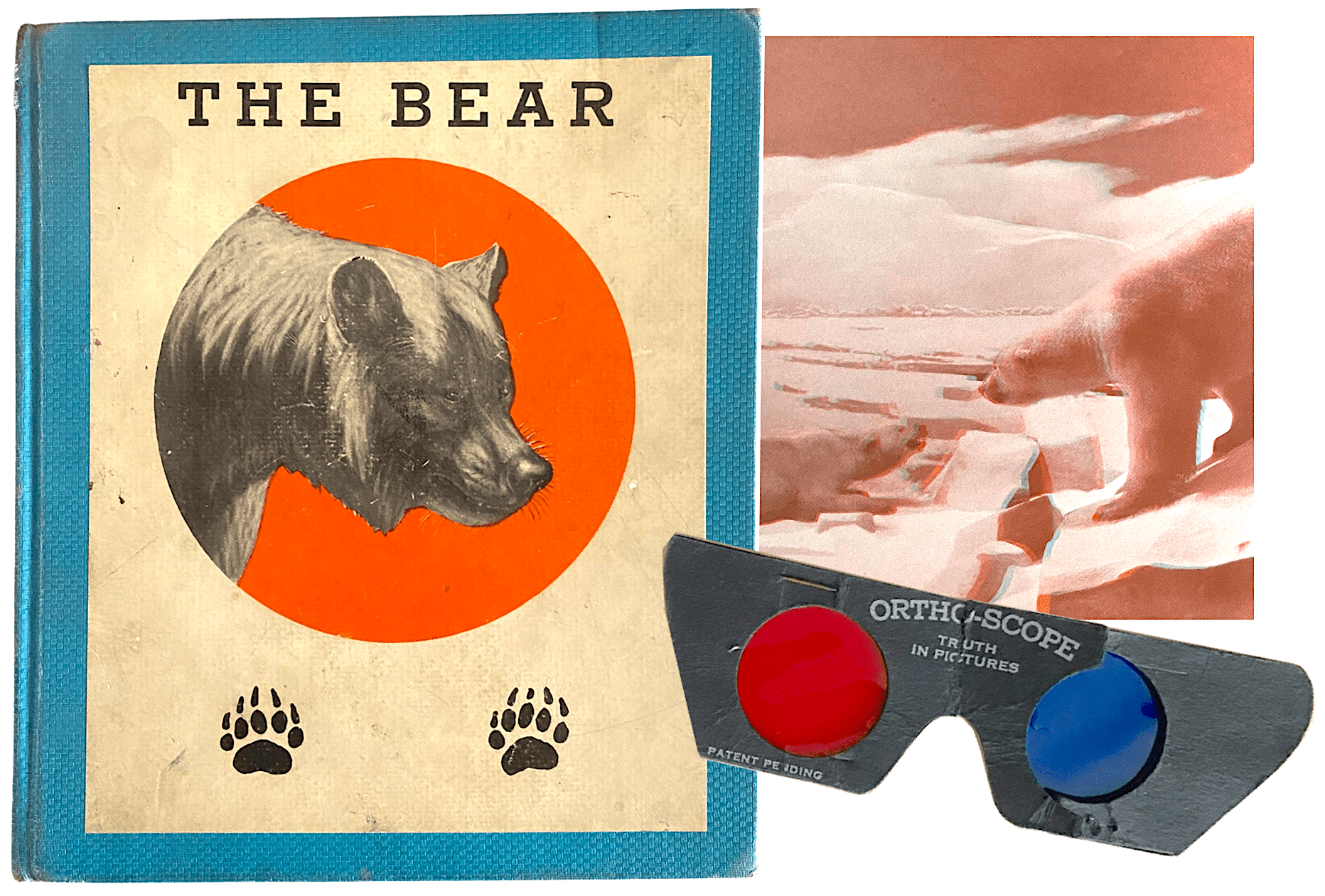 Orthovis Company, est. 1933